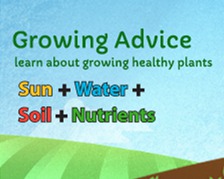 Growing Advice